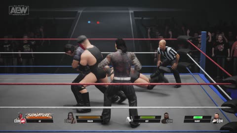 MATCH 118 DEMOLITION VS THE HARDYS WITH COMMENTARY