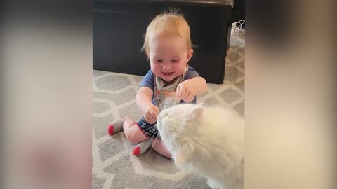 Fanny cat and cute baby 🍼😍😘