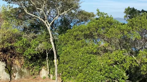 5/19 - Praia do Fayet: O destino perfeito para relaxar em Governador Celso Ramos