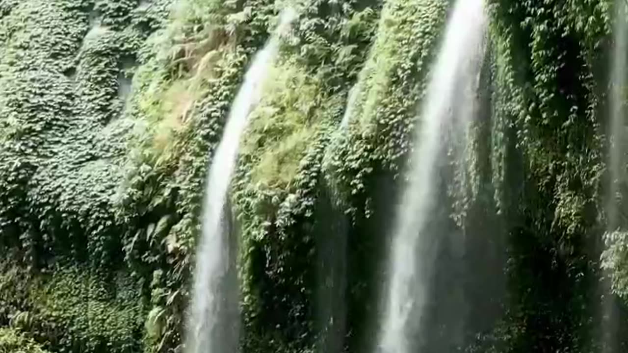 Water Fall In Forest Some Where On Earth 🌍