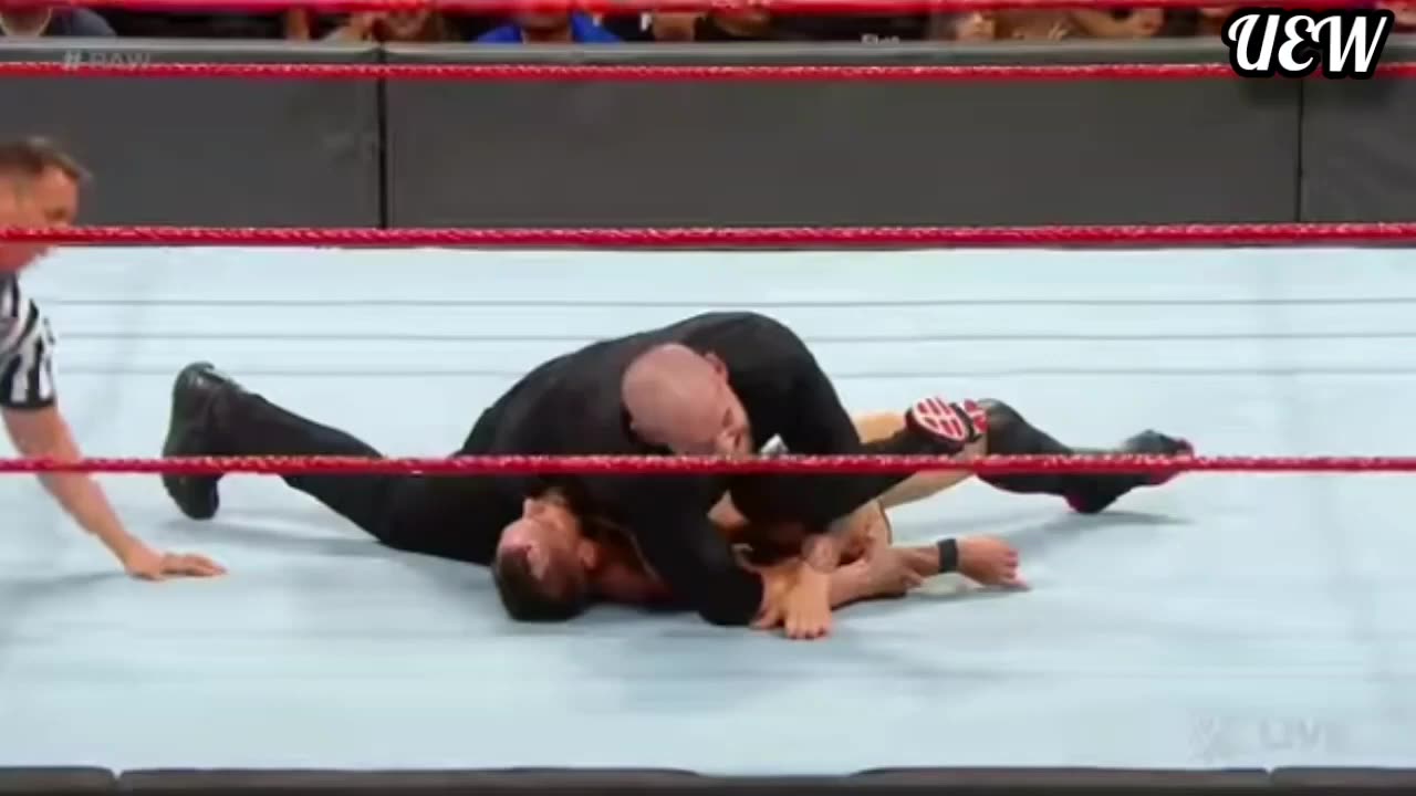 24 WWE wrestler defeat