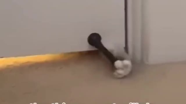 ☕ Take a break 🐈‍⬛