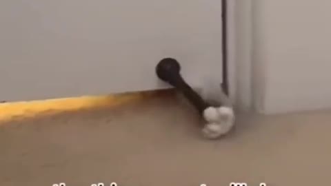 ☕ Take a break 🐈‍⬛