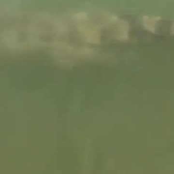 Always test the water before swimming