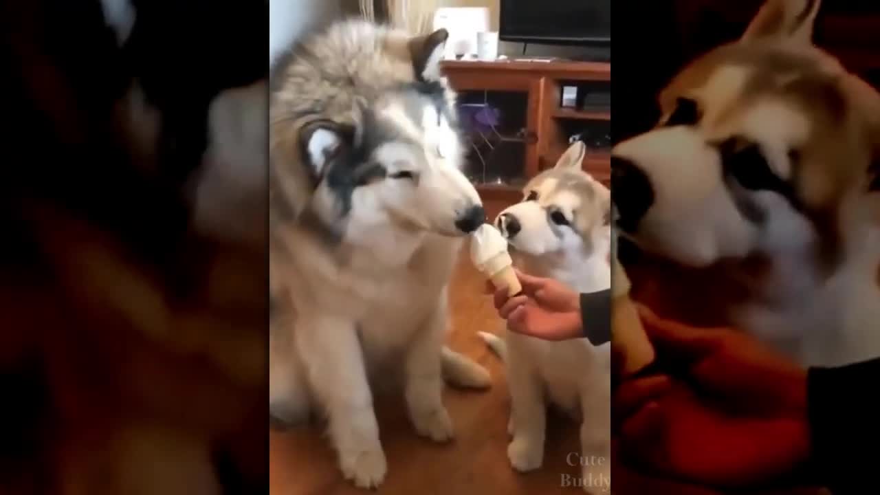 Hmm this tastes good