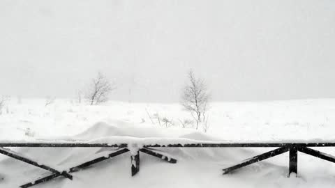 Snowstorm in the countryside