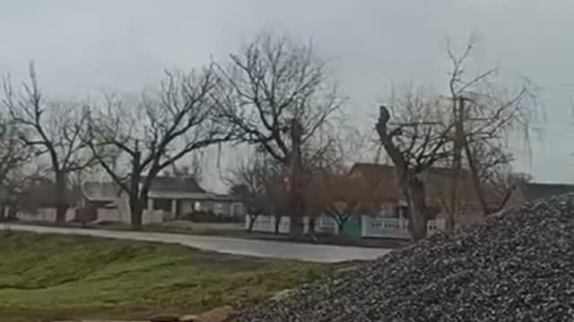 Russian Helicopters over Odessa