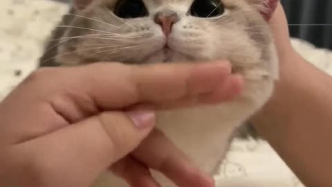 You are a soft little bun.