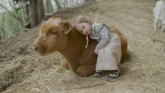 CHILDREN RESTING ON THE OX'S BACK