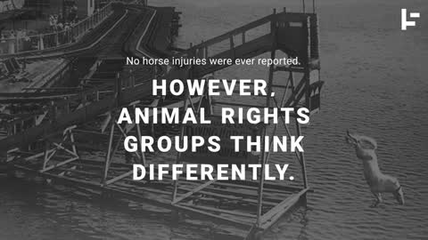The High-Diving Horses That Risked Death Every Day to Entertain People