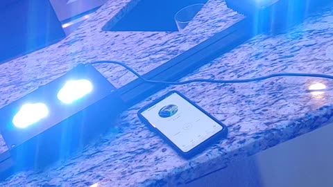 Hydra 26 HD LED lights