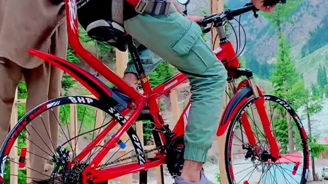 Cycledoli