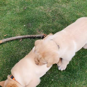 Nice run, mom is not watching.