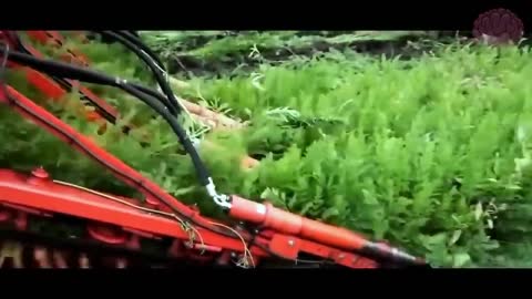 sticky video