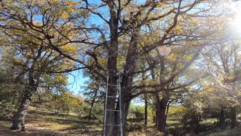 Best Buck Hunt of My Life Turns to Tears...