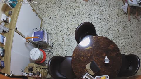 hallmid day n night 20220427