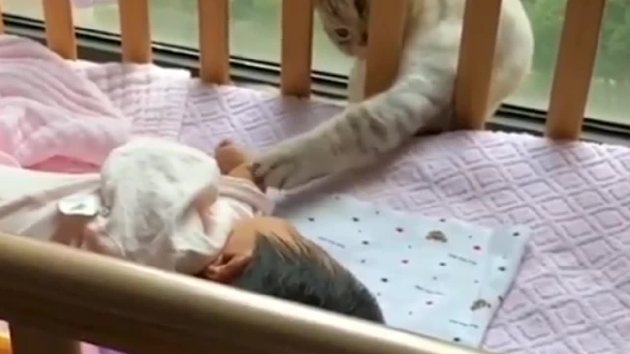 Cat disturbs sleeping Baby