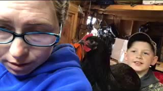 Suzan the chicken helper