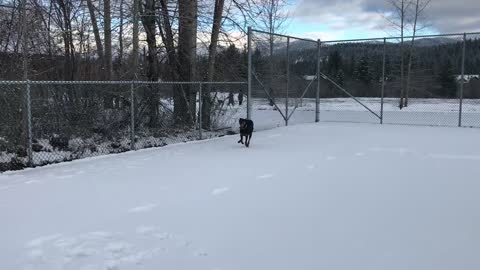 FIONA IDAHO CHRISTMAS TRIP 12.27.2018 II