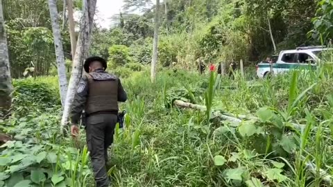 Declaraciones muerte de mujer en Lebrija
