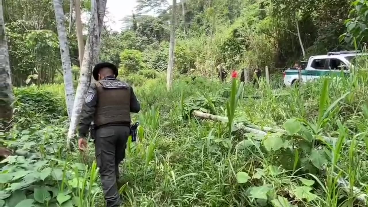 Declaraciones muerte de mujer en Lebrija