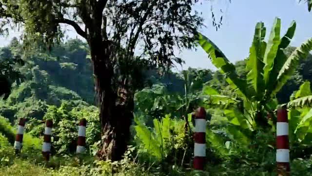 Bhatiary Lake, Chittagong.