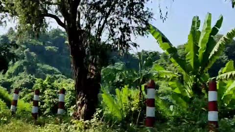 Bhatiary Lake, Chittagong.