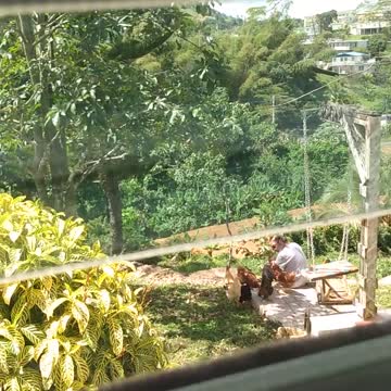 Chickens helps Sgt. relaxed from this War P.T.S.D.