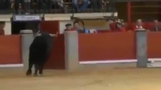 Bullfighting