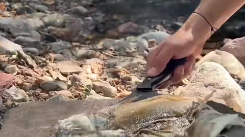 Cooking Fish on The Rock in Nature