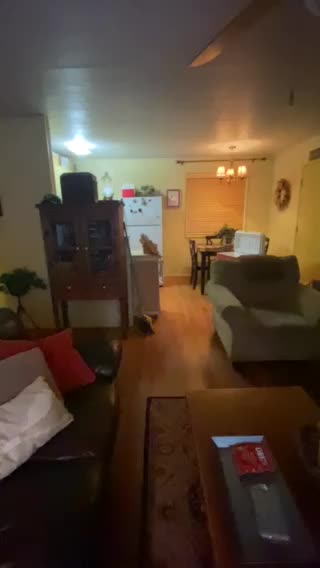 Family Time - Adair Cabin Morning Snow