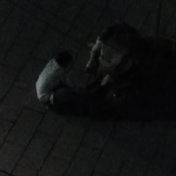 Video of a man massaging the leg of a cow