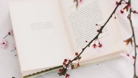 cherry-blossoms-and-a-book