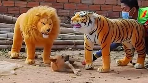 Troll Prank Dog Funny & Fake Lions Tiger