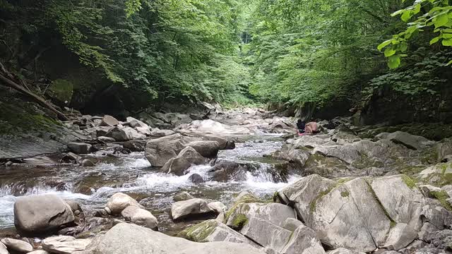 Mountain river in Transcarpathia