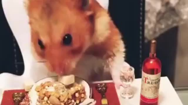 Who wants to join him for the lunch