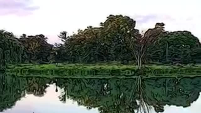 Cartoon of Chicago Morning