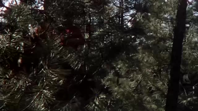 Louis Riel et la rébellion de 1885