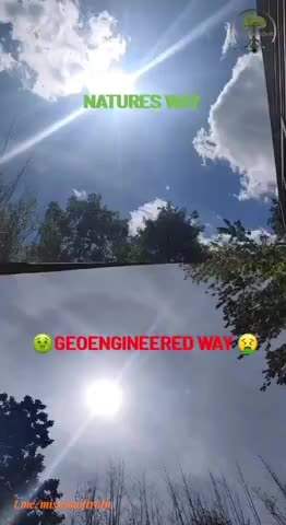Natures Way vs Geoengineered Way...