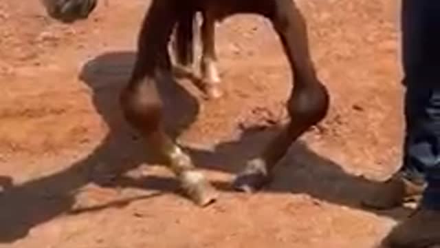 Um dos piores resgates