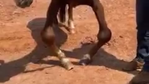 Um dos piores resgates