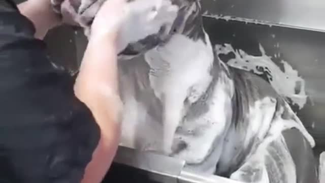My baby is always the best in the shower.