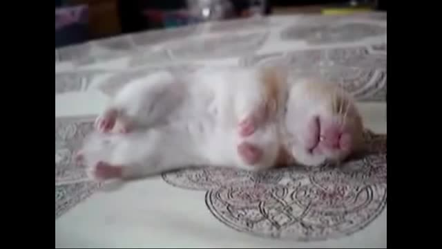 fell asleep