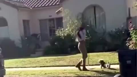 Girl walking her dog