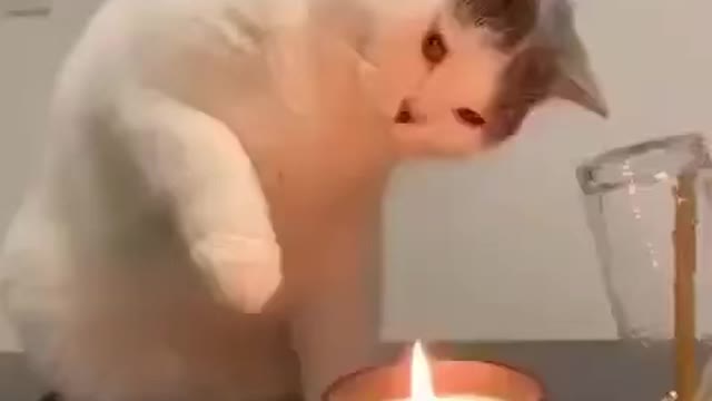 First time experience with candle