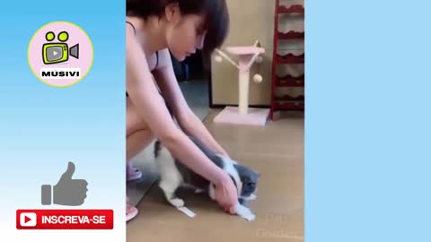 VERY FUNNY CAT VIDEO WORTH LIKING