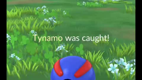 Pokémon GO-Shiny Tynamo