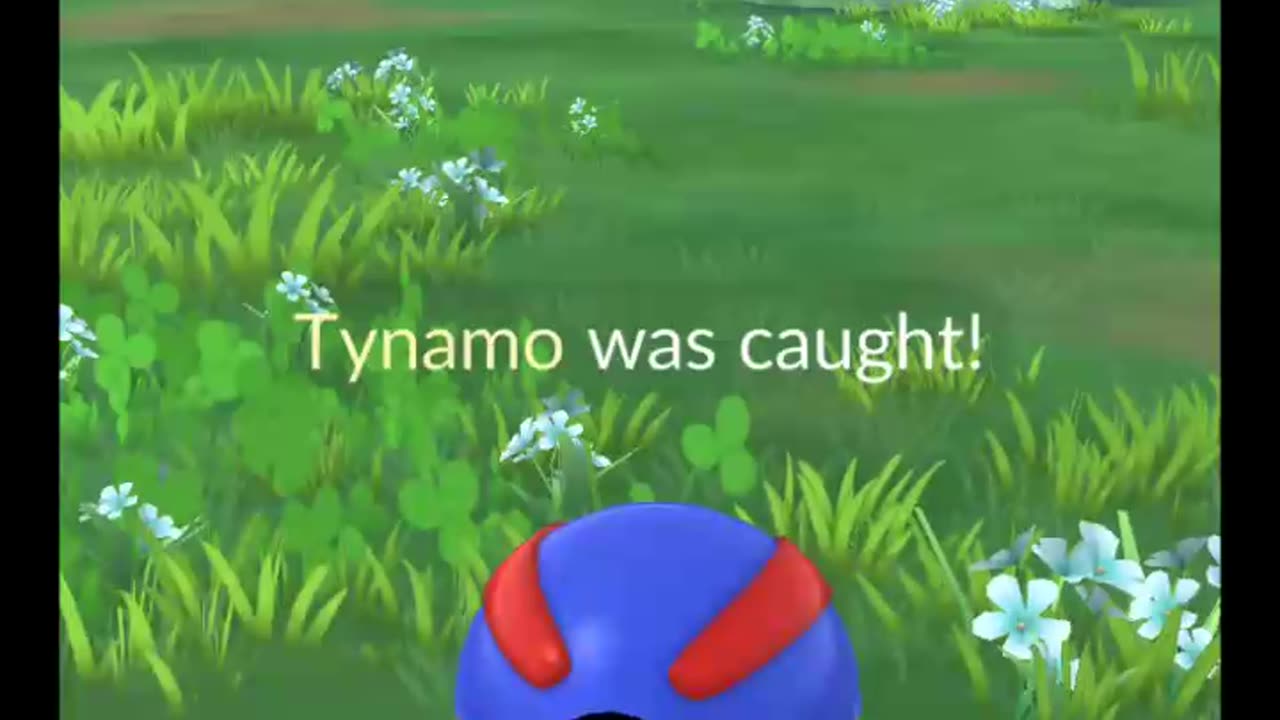 Pokémon GO-Shiny Tynamo