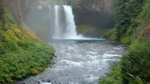Beauty of Nature