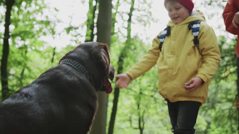 A child playing with his pet dog